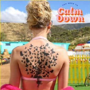 taylor swift you need to calm down cover