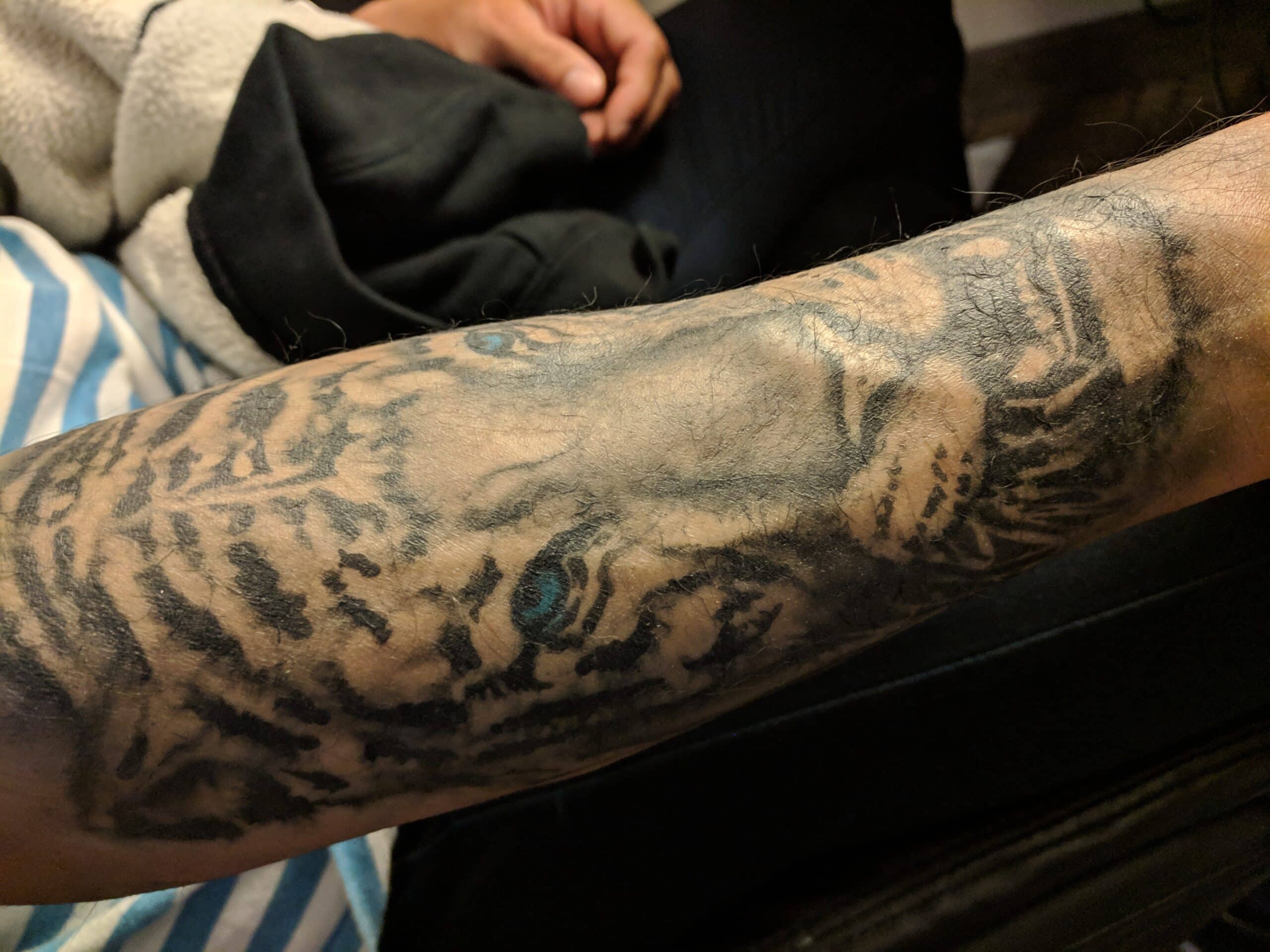 Tiger Tattoo